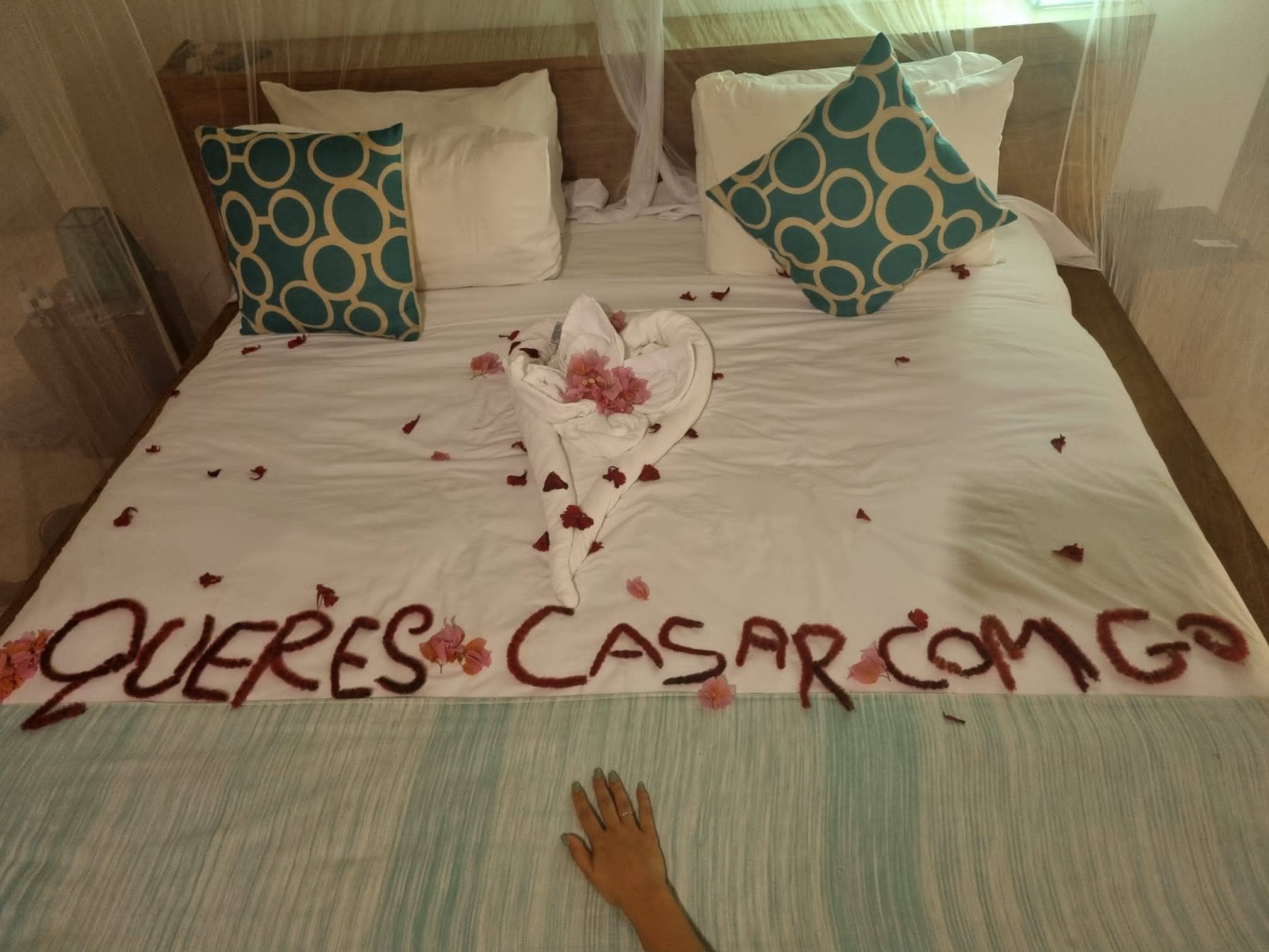 c31df991-aa4d-42c1-8aba-7e25833addc1